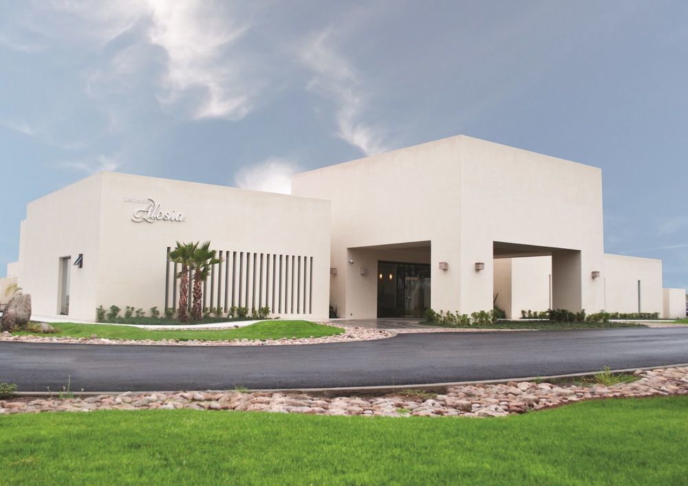 Alesia Hotel Boutique & Spa Aguascalientes Eksteriør bilde