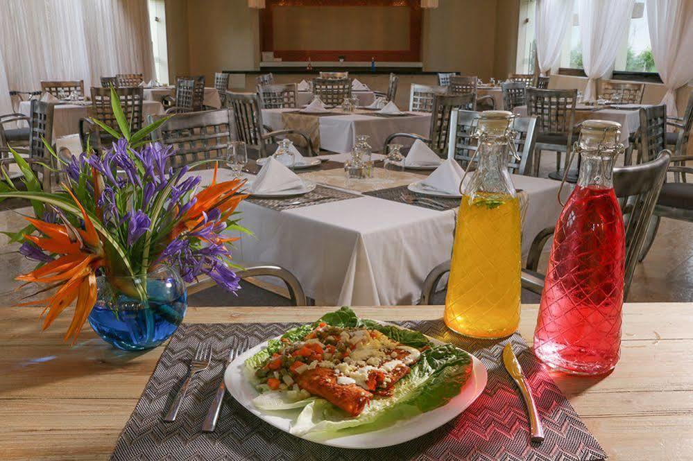 Alesia Hotel Boutique & Spa Aguascalientes Eksteriør bilde